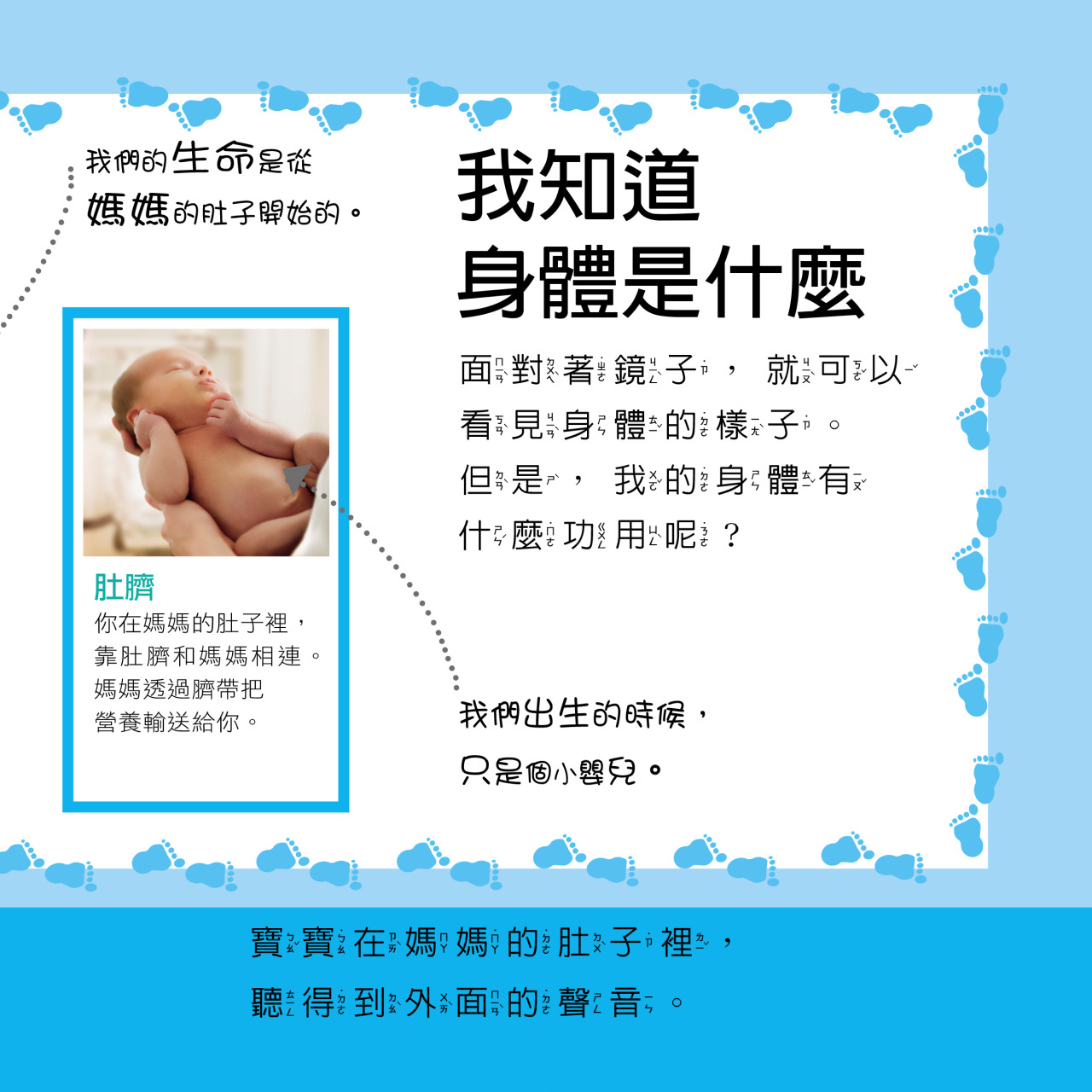 EYEKNOW點讀百科 不加筆：圖片 16