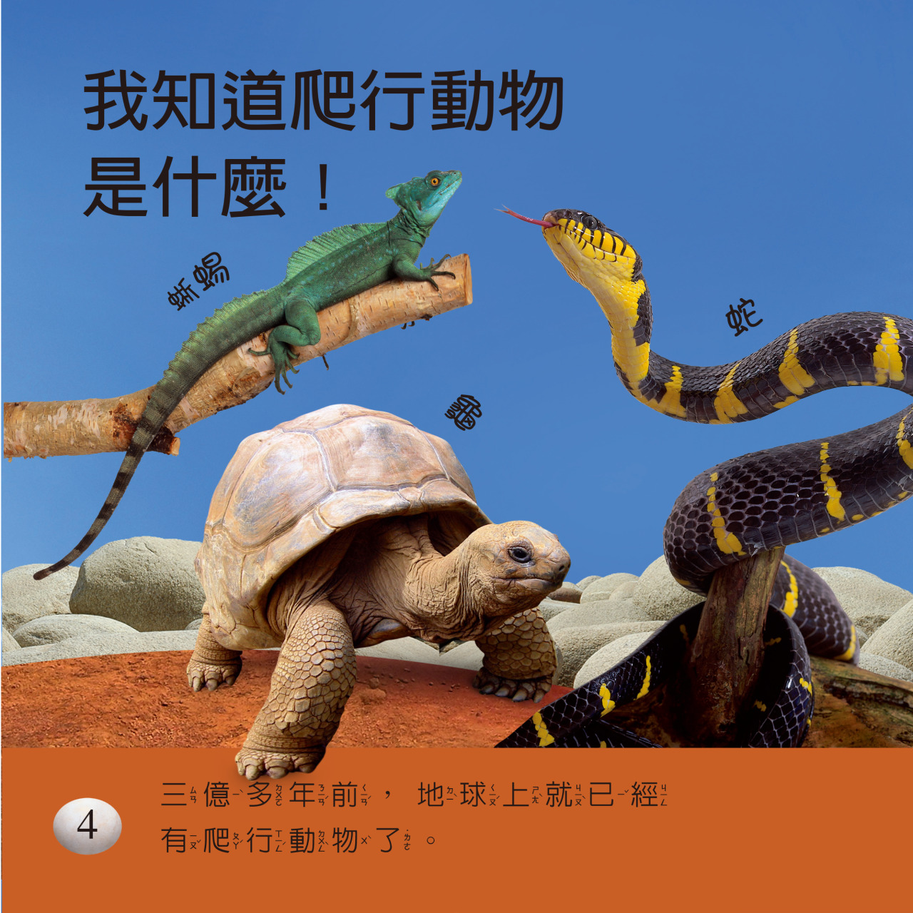 EYEKNOW點讀百科 不加筆：圖片 12