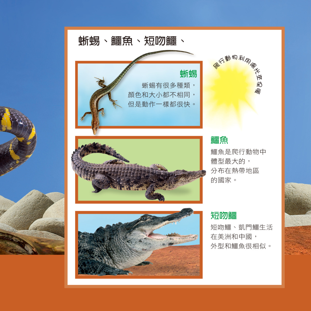 EYEKNOW點讀百科 不加筆：圖片 11