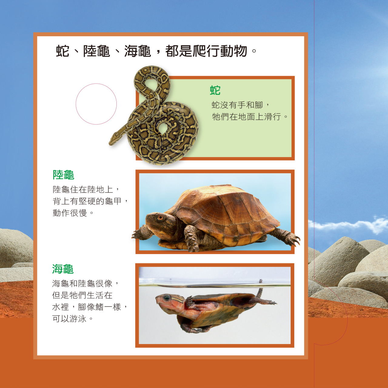 EYEKNOW點讀百科 不加筆：圖片 10