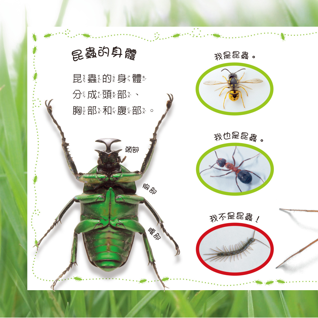 EYEKNOW點讀百科 不加筆：圖片 9