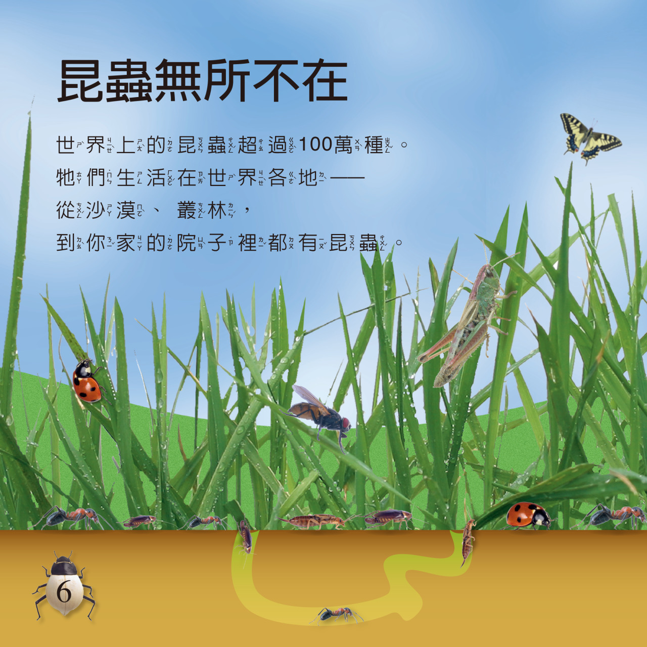 EYEKNOW點讀百科 不加筆：圖片 8